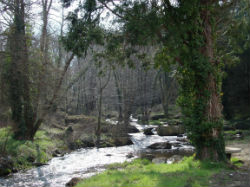 PROMENADE DE L`ARDOUR