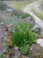PARTERRE MAISON